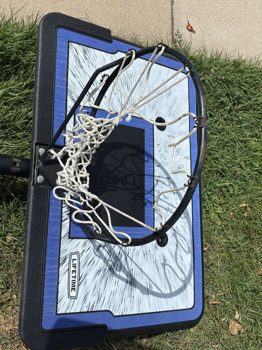 Lifetime Portable Basketball Hoop - Full Size, Adjustable, Outdoor Play