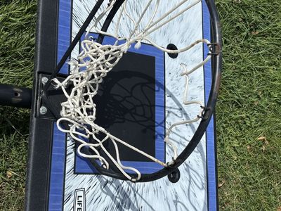 Lifetime Portable Basketball Hoop - Full Size, Adjustable, Outdoor Play
