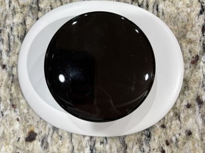 Nest Learning Thermostat (4th gen)