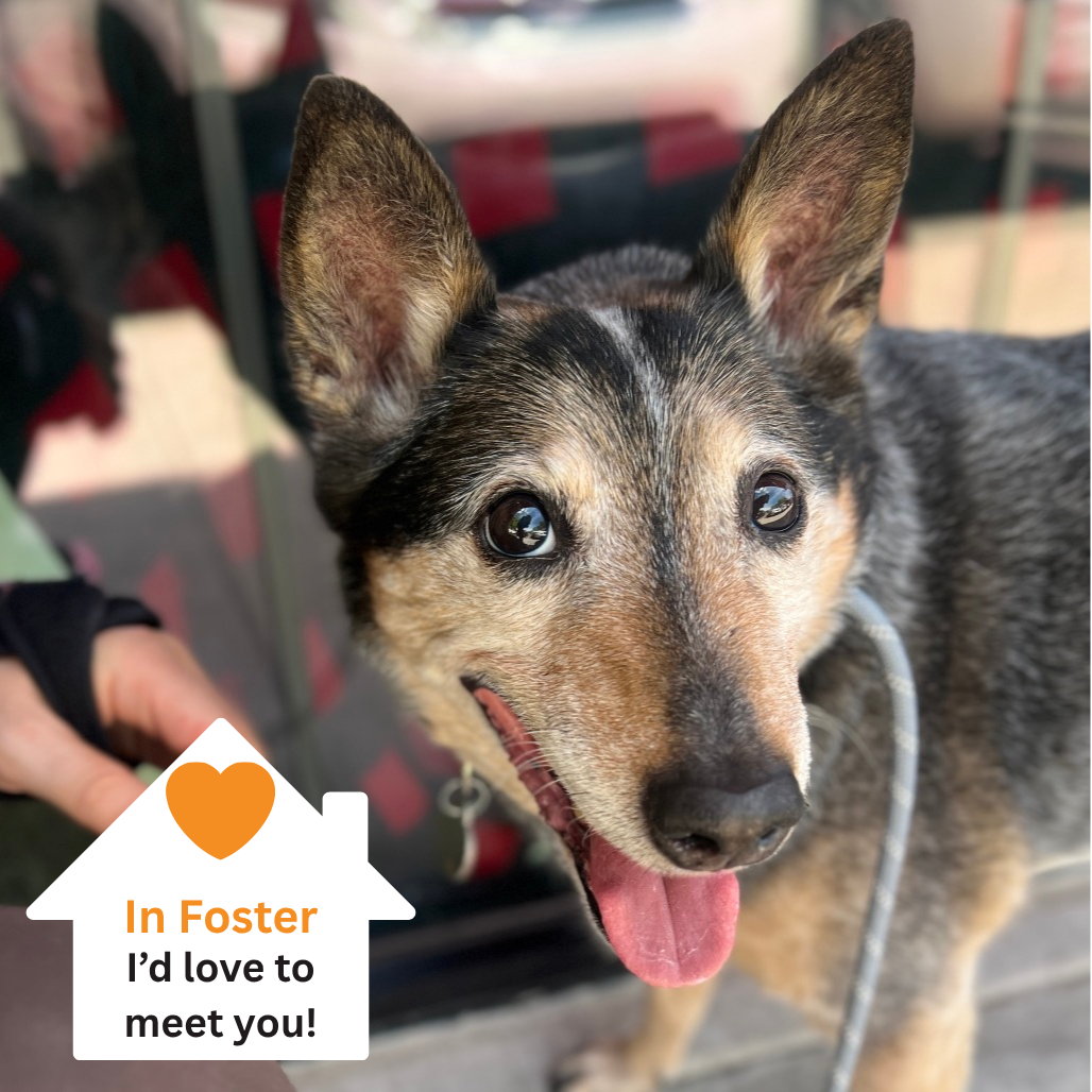 Hello my name is Tom