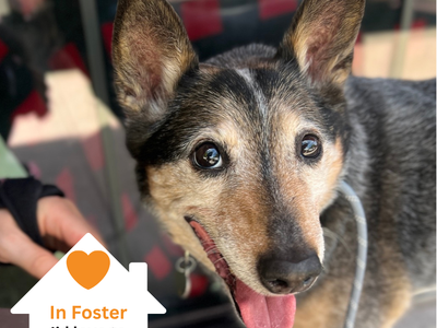 Hello my name is Tom