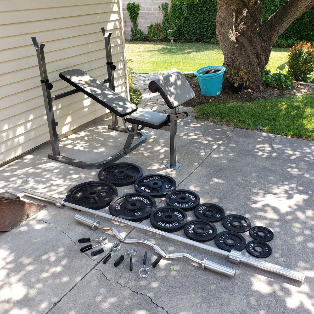 Olympic Weight Bench / Weights / Barbell / Curl Bar