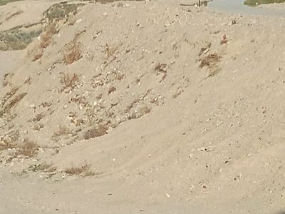 In need of clean fill dirt in Grantsville