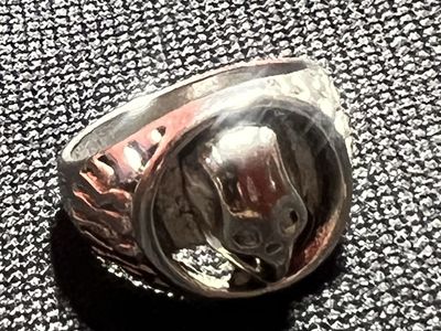 Unique Silver-Tone Skull Ring, Detailed Band, Goth/Biker Style Size-6