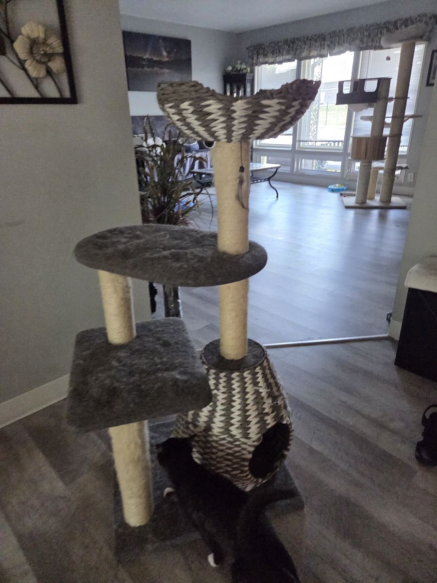 Multi-Level Cat Tree Tower with Woven Hideaway Condo and Top Basket Bed - Gray