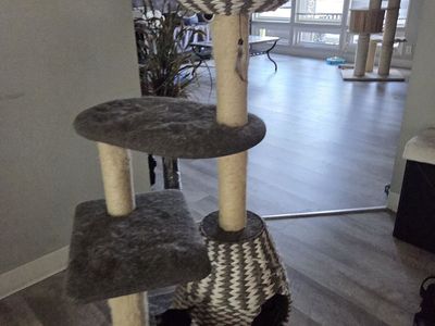 Multi-Level Cat Tree Tower with Woven Hideaway Condo and Top Basket Bed - Gray