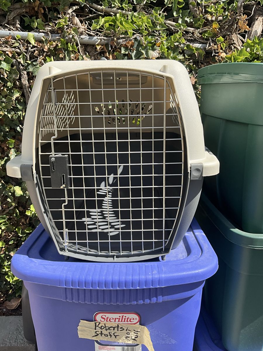 Pet Taxi