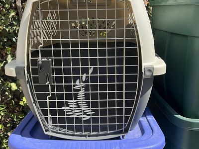 Pet Taxi