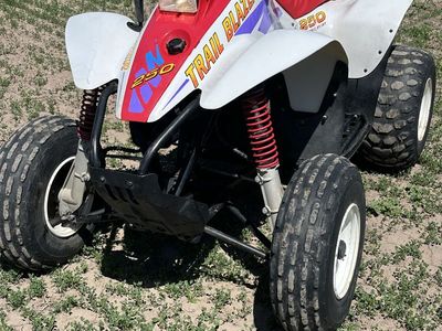 2001 Polaris Trailblazer 250