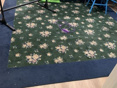 10x10 Floral Area Rug – $70