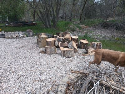 Free Wood