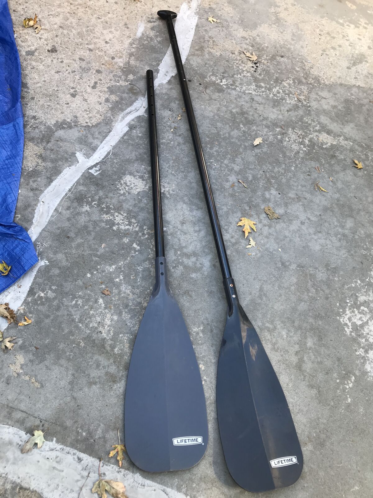 SUP Paddle standup paddleboard paddle