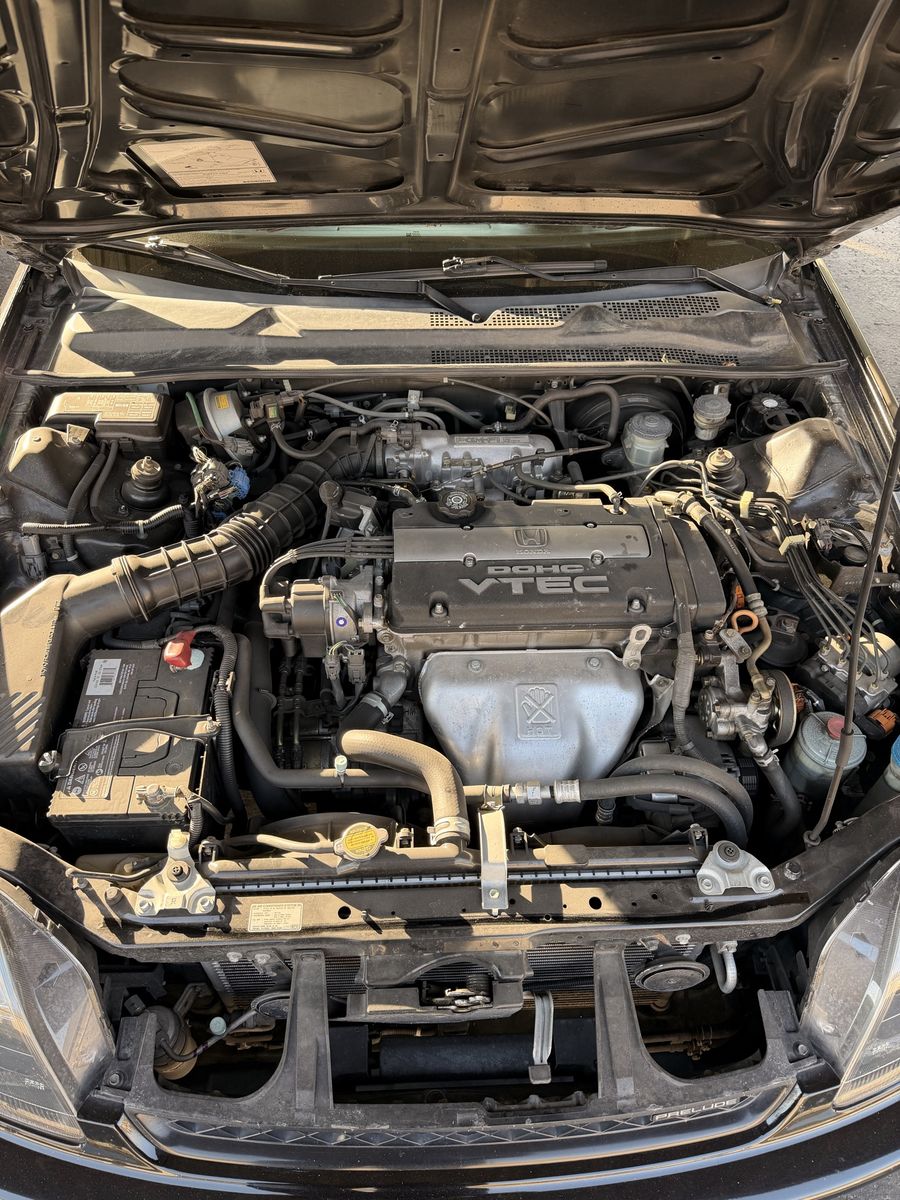 Main image 8