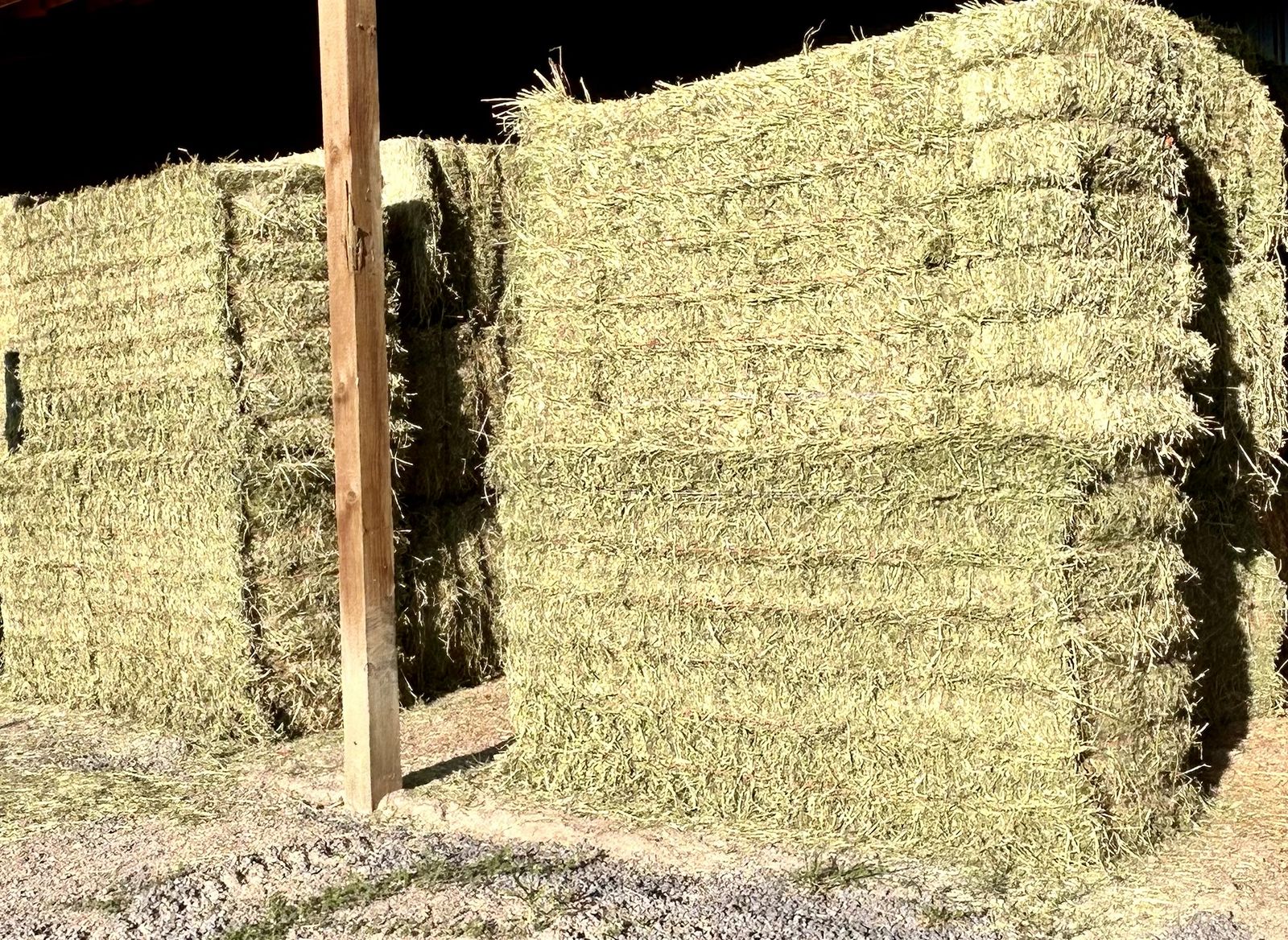 3x4x8 premium alfalfa,
