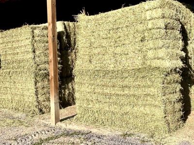 3x4x8 premium alfalfa,