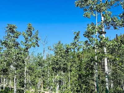 1 ACRE Tollgate Canyon Lot FOR SALE - Minutes from Park City