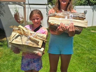 Firewood Bundles