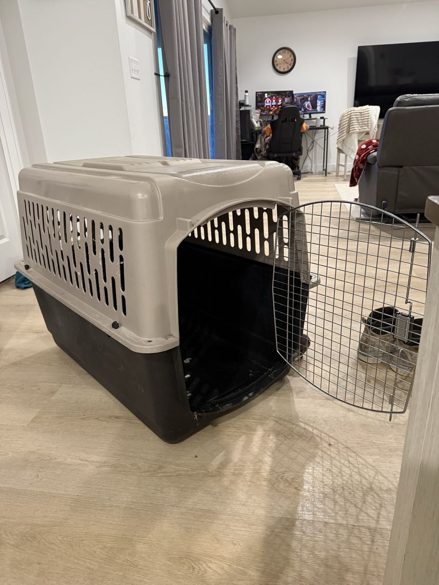 Large Plastic Dog Kennel