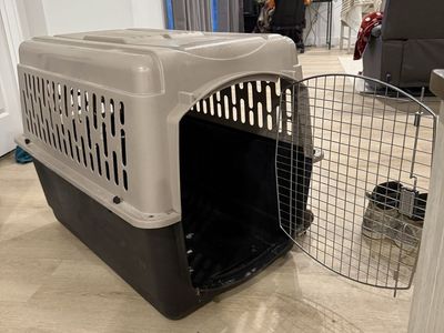 Large Plastic Dog Kennel