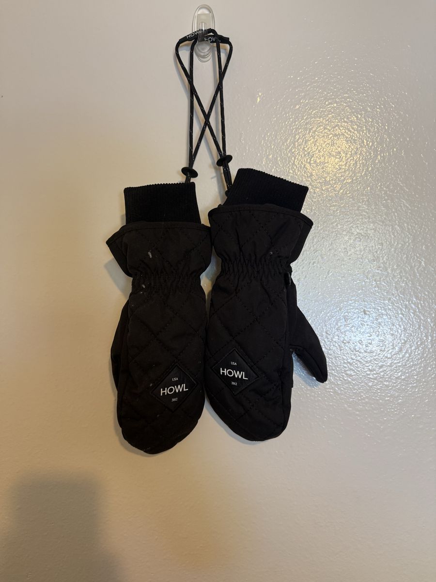 Men’s Ski Mittens