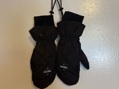 Men’s Ski Mittens