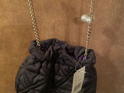 NWT- Small Black Purse W Gild Chain And Pearls