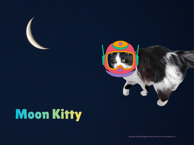 Moon Kitty - Fleece Blanket