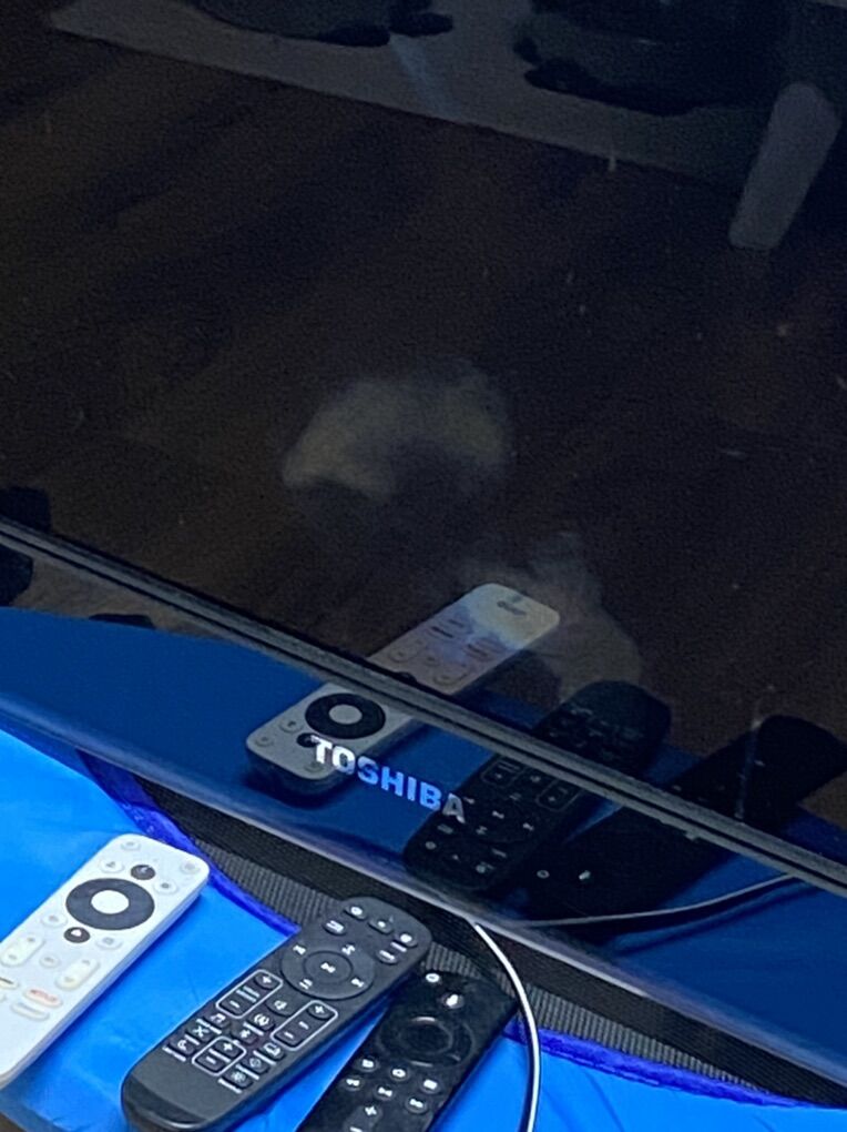 48 Toshiba televison