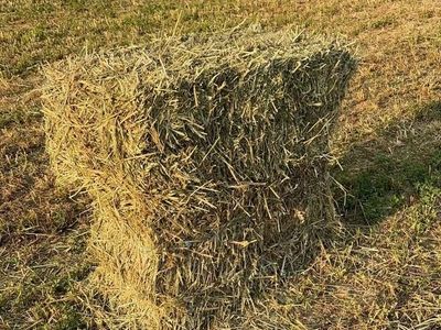 First Cutting 3-Way Feed Hay Bales (60-65 lbs)