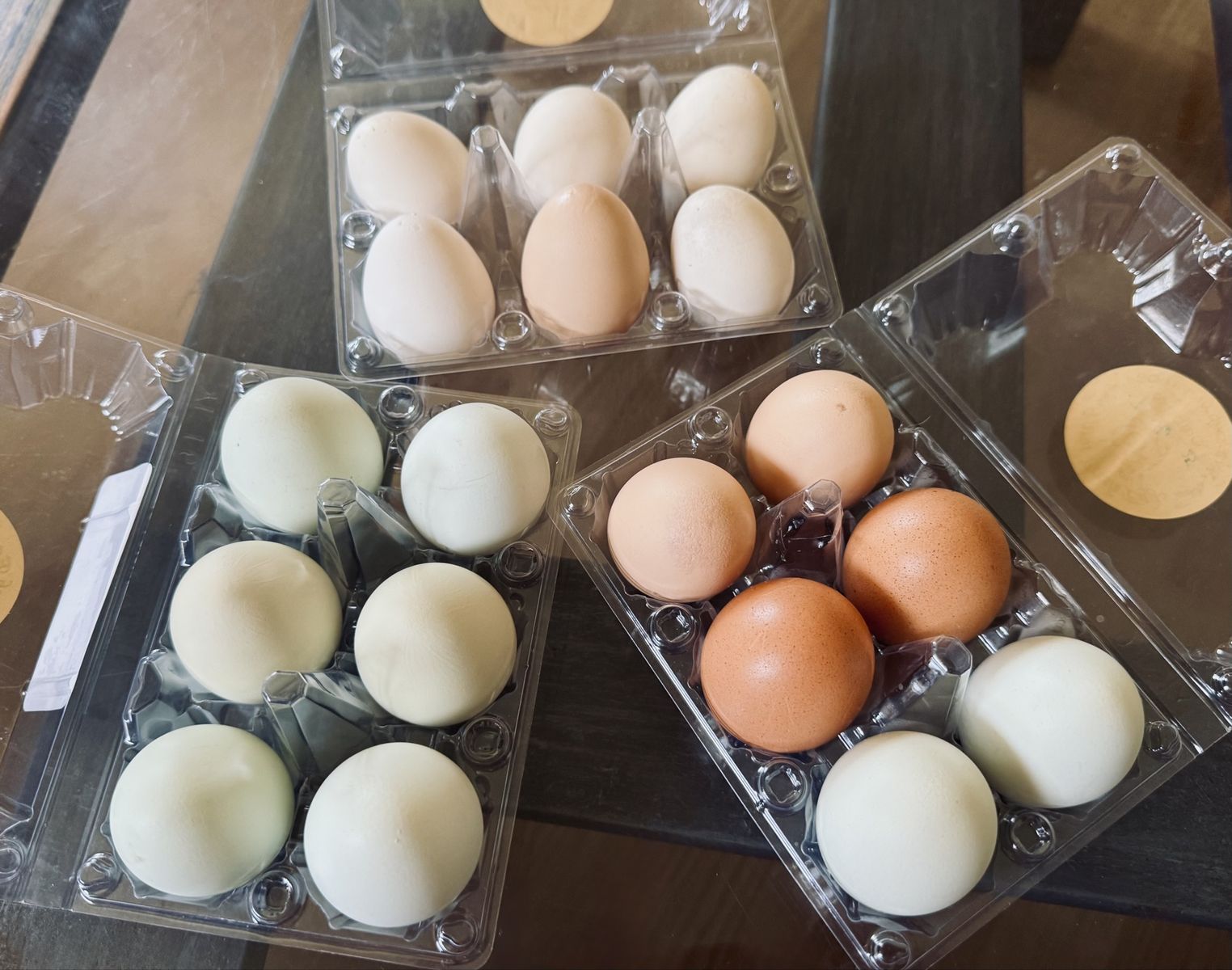 Organic Eggs from happy chickens