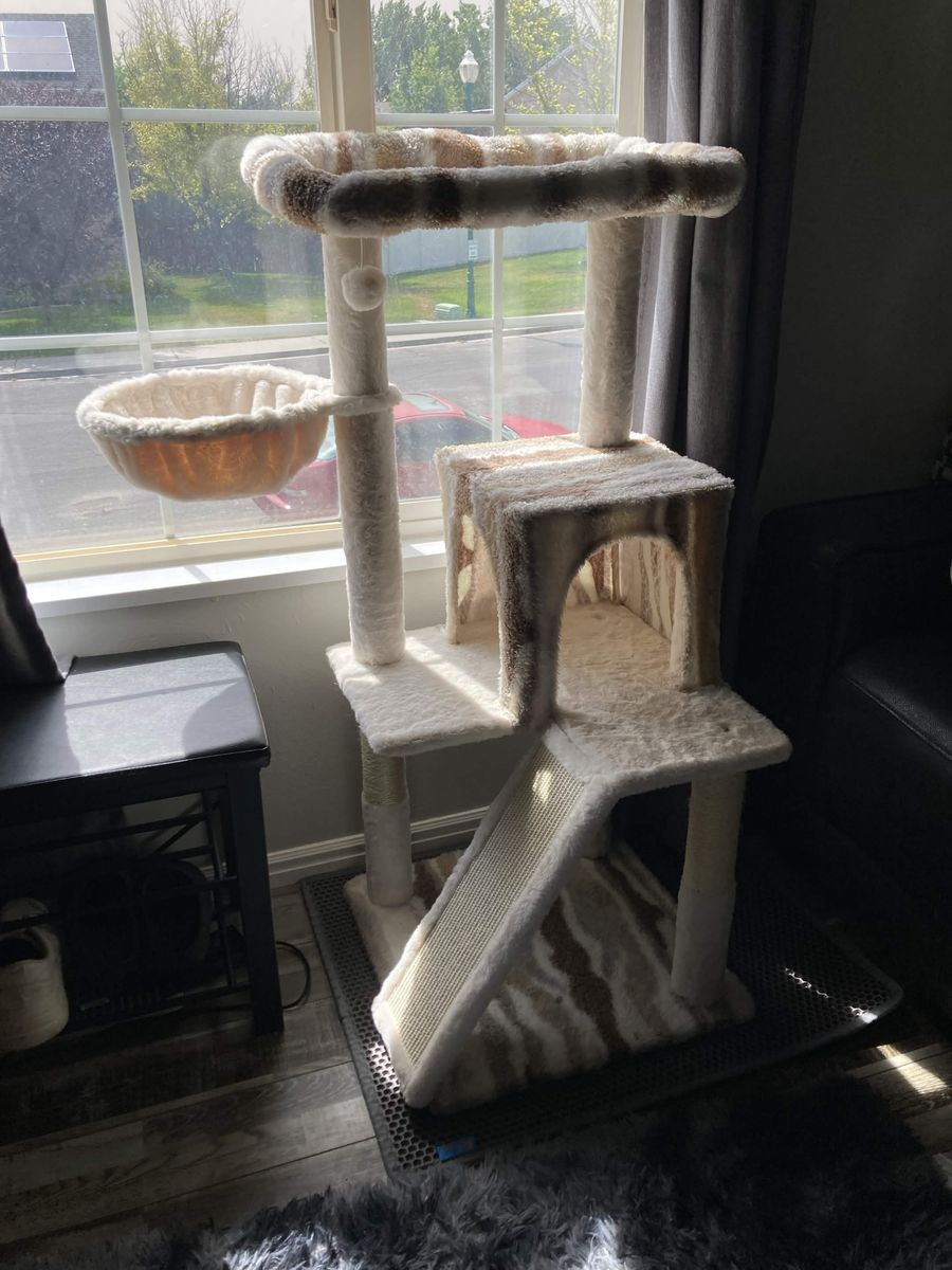 Cat Tower