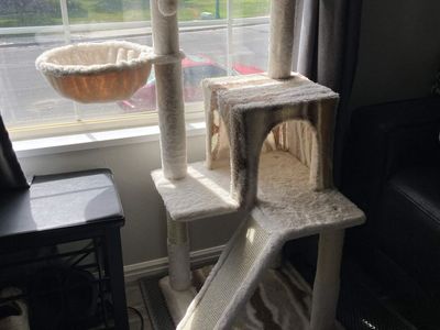 Cat Tower