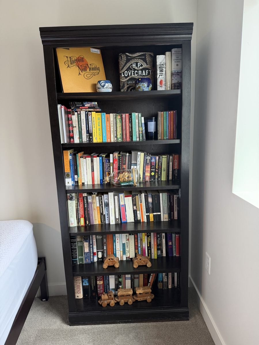 Large Wooden Black Book Case