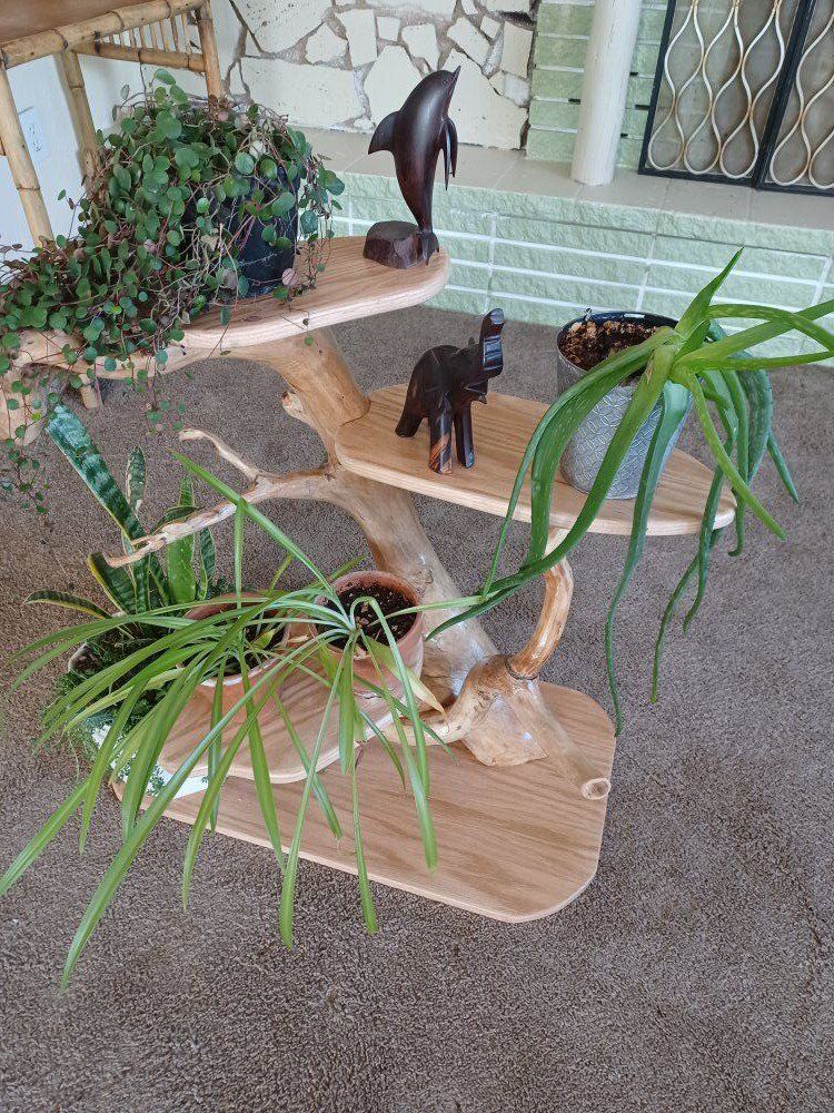 PLANT ARRAY HOLDER