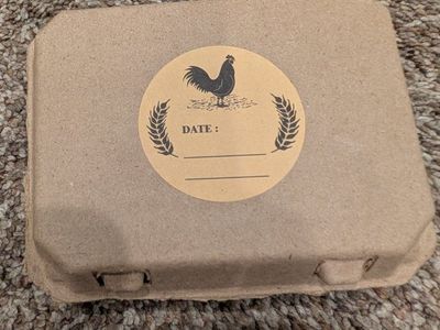 Jumbo quail egg cartons