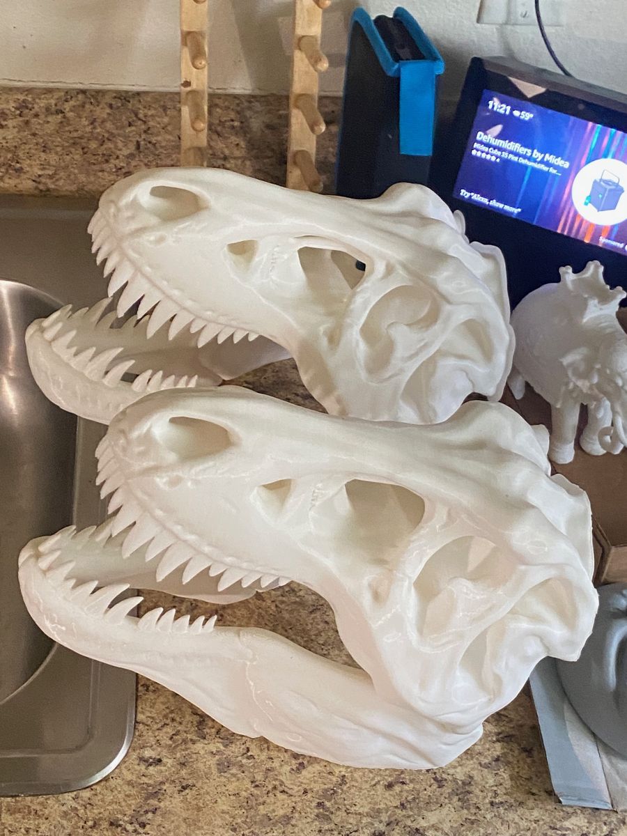 (2) 3D printed 18" Large unfinished T-Rex heads $50 for both