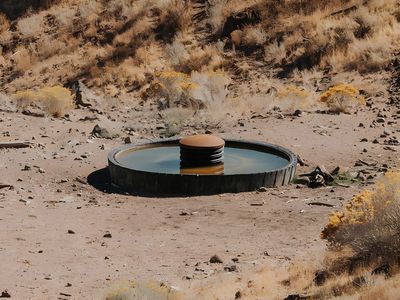 12' Heavy-Duty Tire Troughs – Indestructible Waterer & Feeder
