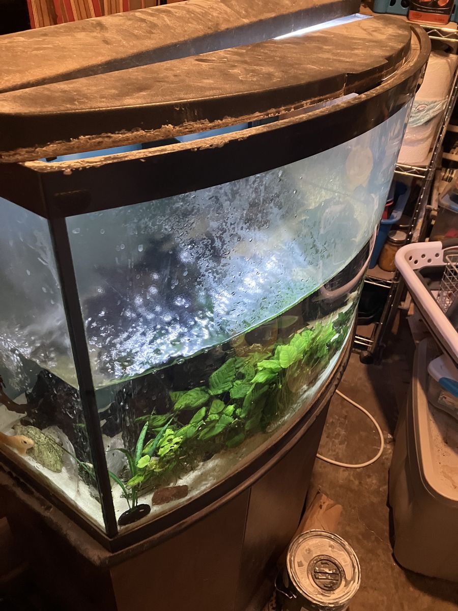 30 gallon fish aquarium