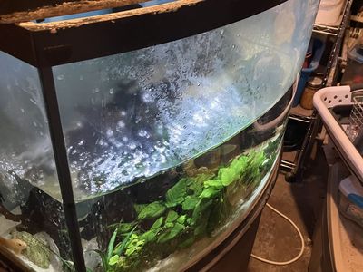 30 gallon fish aquarium