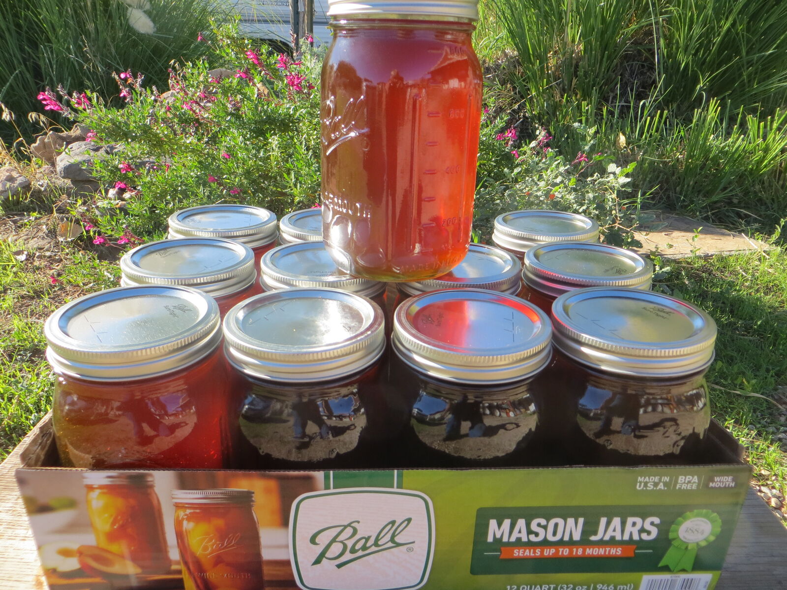 New Crop Local Area Honey - Hurricane