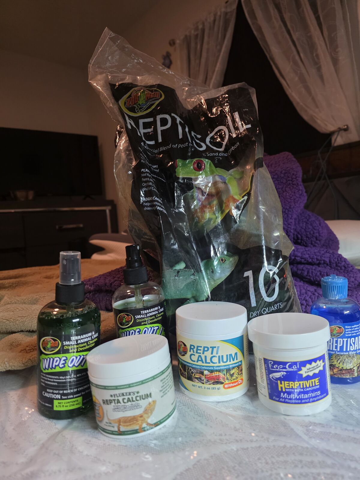 Leopard gecko and equipment