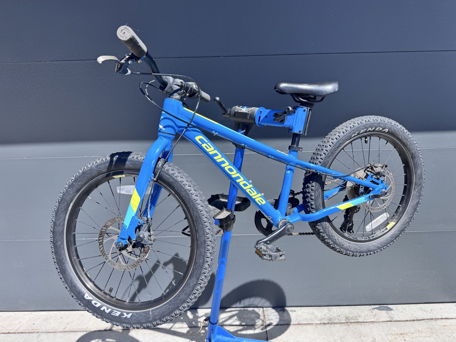 Cannondale Cujo Kids 20 Inch Mountain Bike