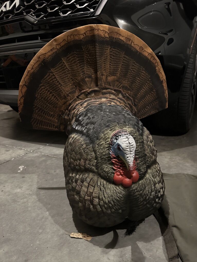 Avian X Strutter Decoy