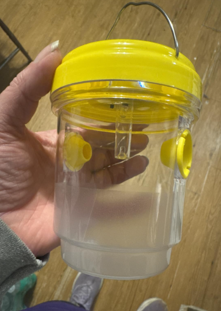 New in box 3pc Wasp Traps