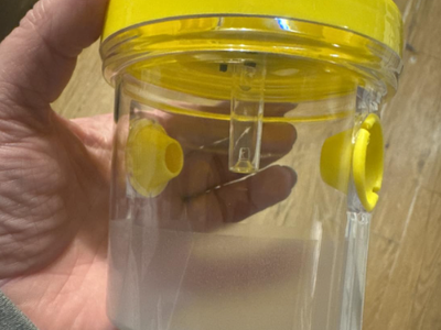 New in box 3pc Wasp Traps