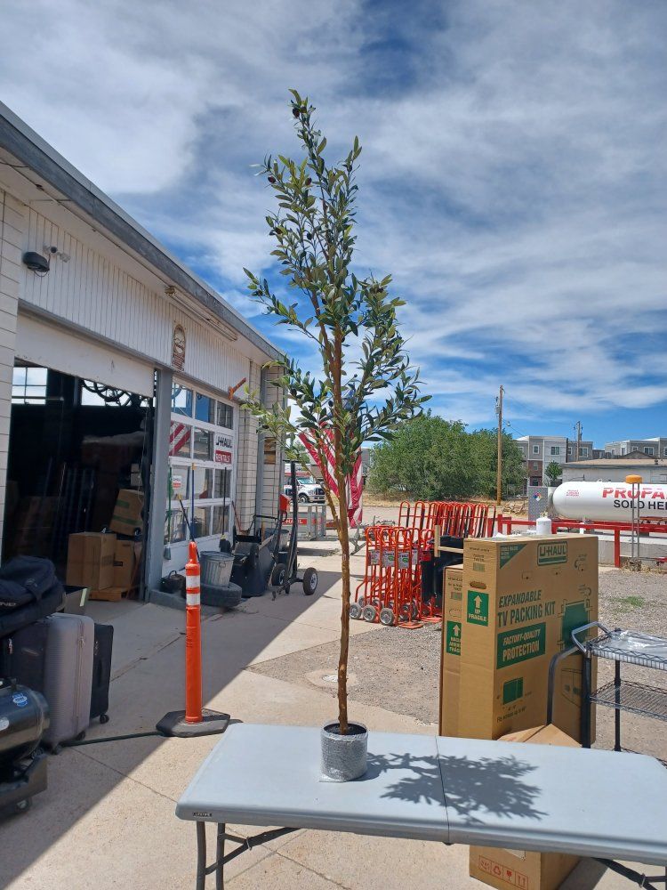 80 in fake olive tree
