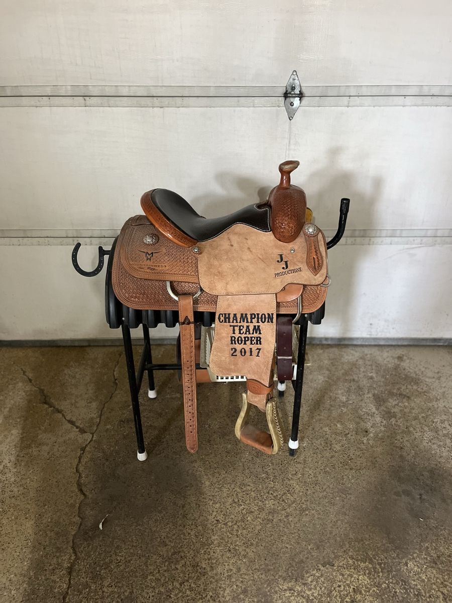 Stray star trophy saddle