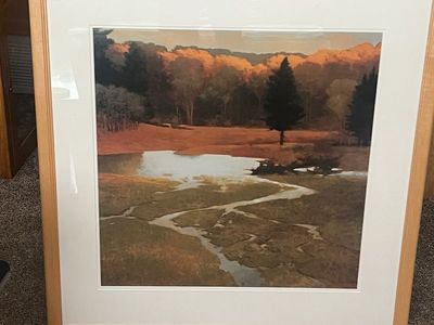 LANDSCAPE FRAMED PRINT