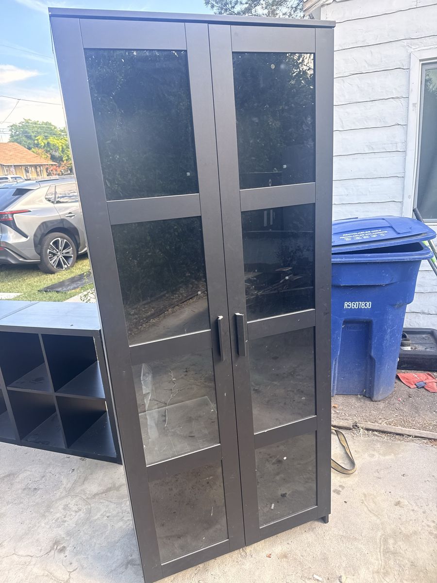 Black Display Cabinet with Glass Doors - Storage and Bookshelf