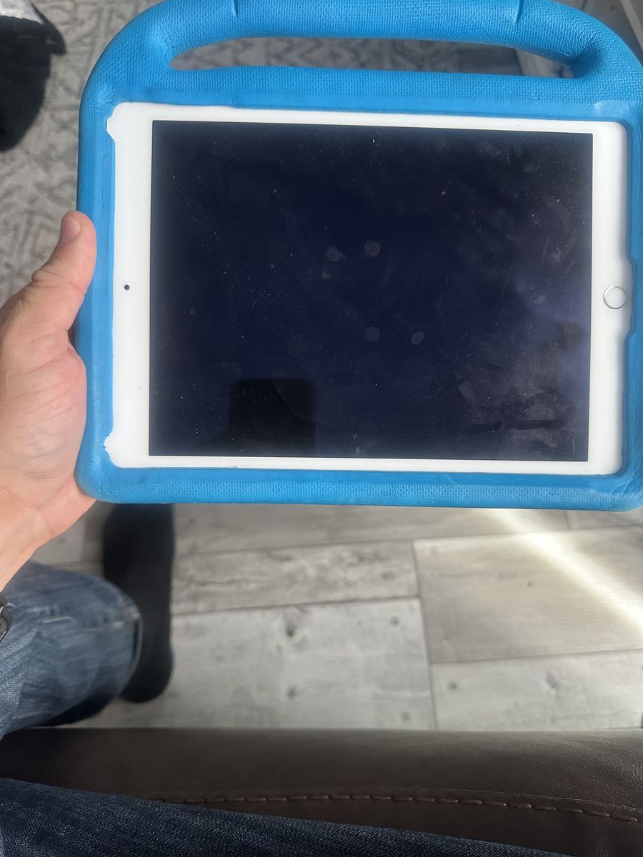 iPad Air 2 16GB (Excellent Condition)